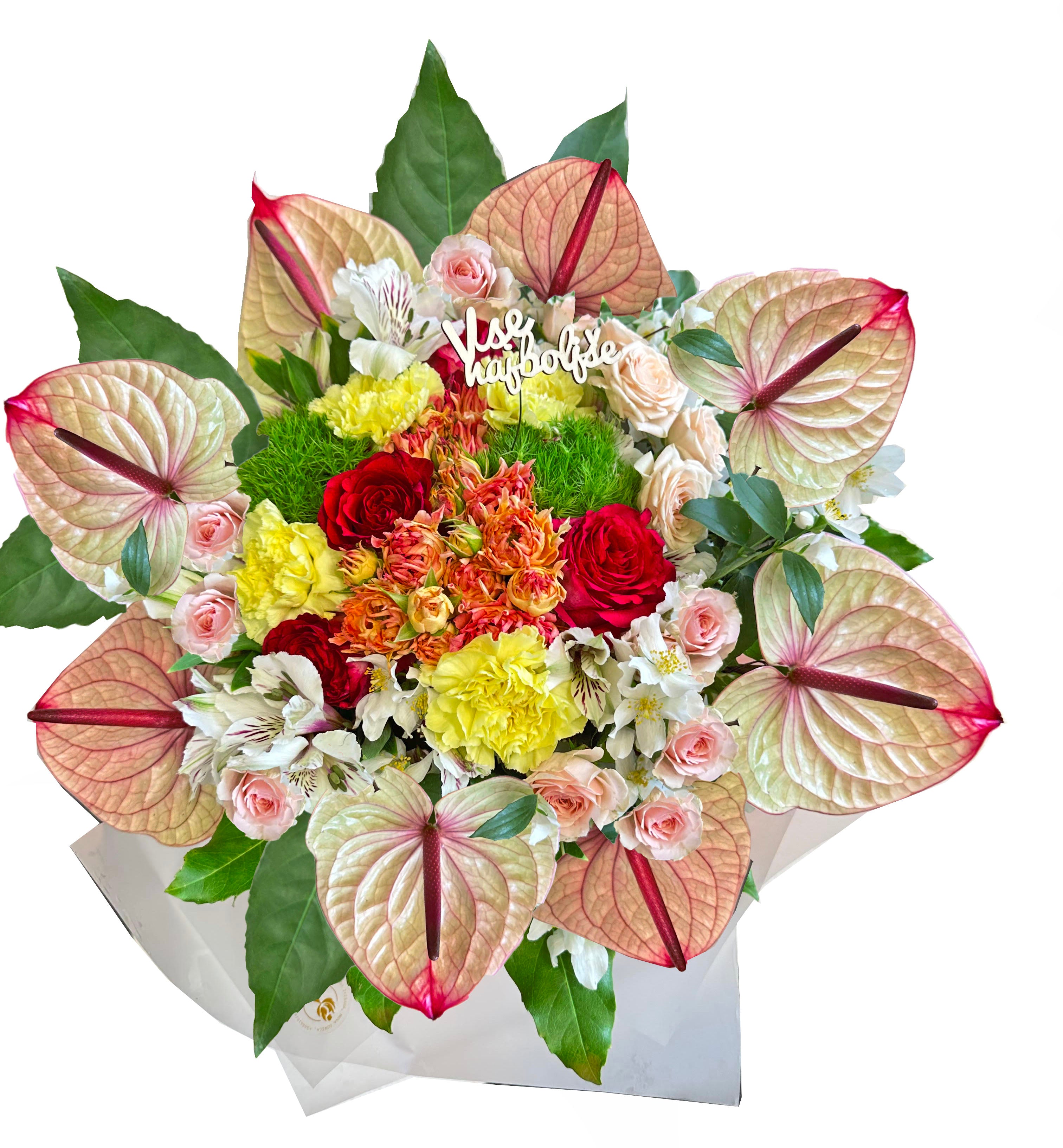 anthurium majestic Majestic Anthurium Circle – Ikebana