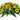 Žalna ikebana s sončnicami, modrimi osati, rumeno solidago in belimi vrtnicami